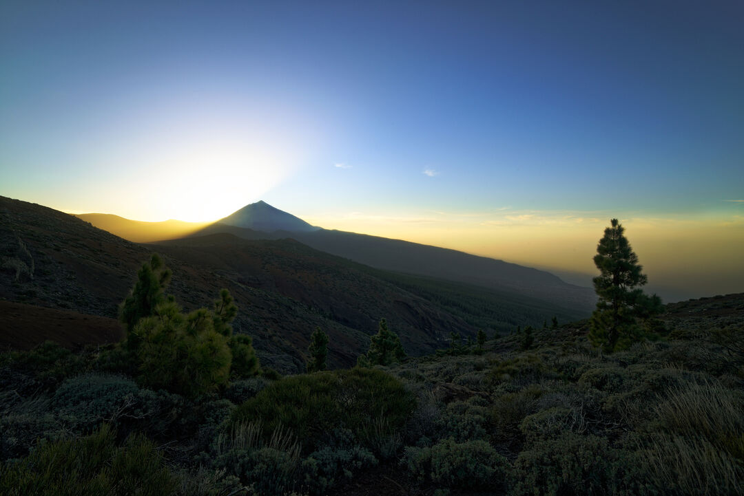 El Teide #1